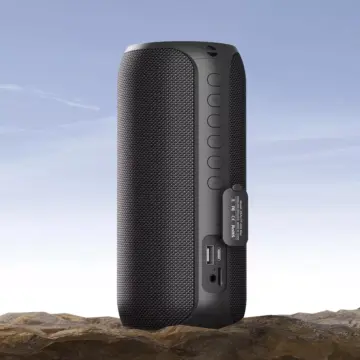 Portable Bluetooth Karaoke Speaker with Wireless Microphones & 20W Stereo Sound