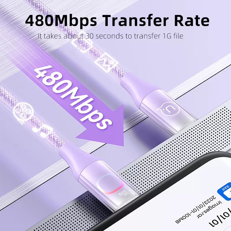 100W USB-C to USB-C Cable - Image 2