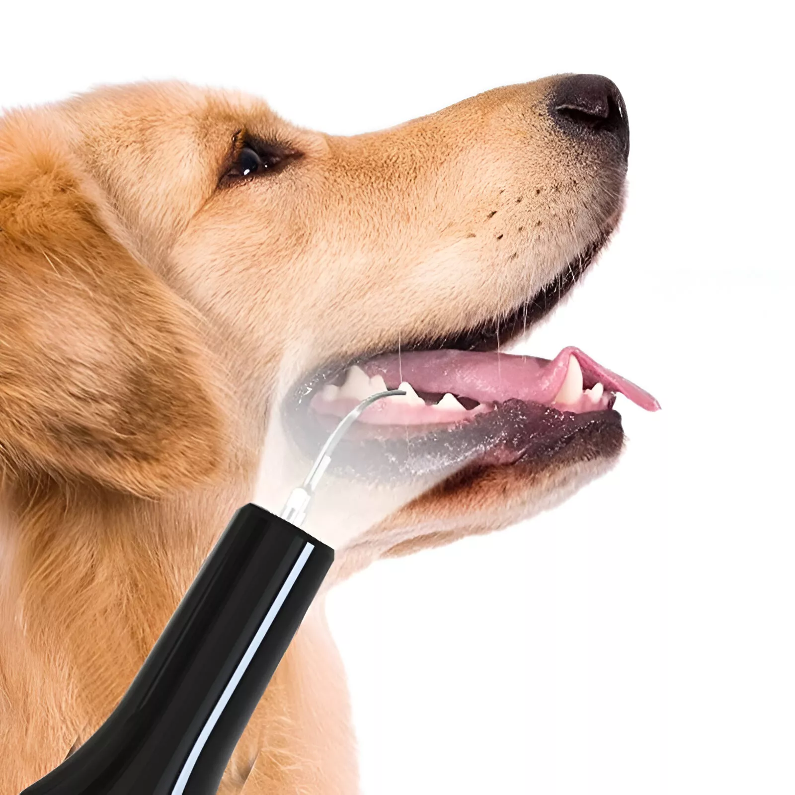 Pet Teeth Cleaning Tools