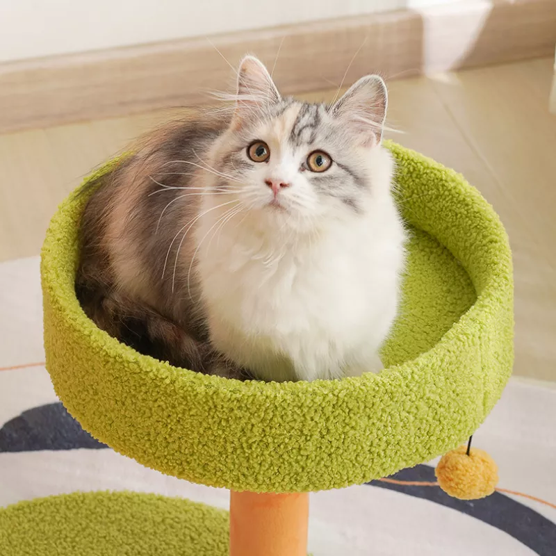 Carrot-Shaped Cat Scratcher and Climbing Frame - Image 4
