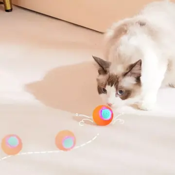Interactive Bouncing Cat Toy