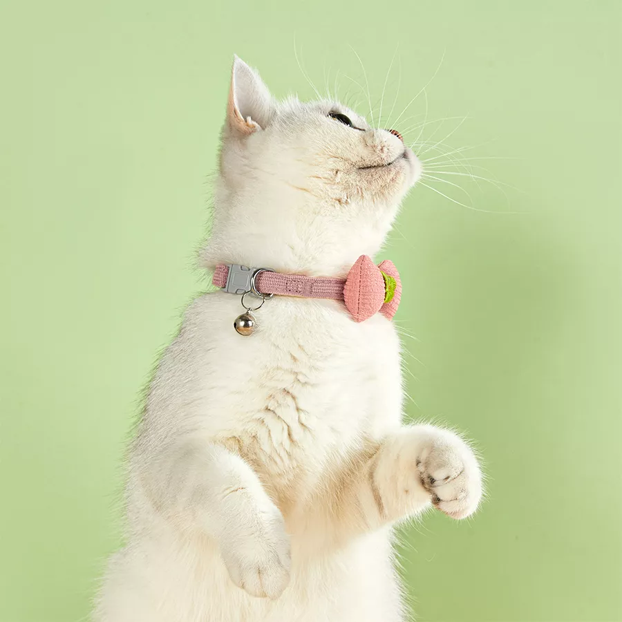 Plaid Bow Tie Cat & Small Dog Collar with Bell - Image 3