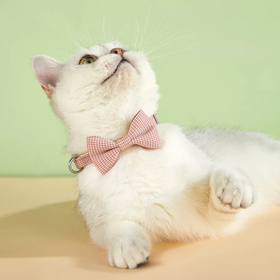 Plaid Bow Tie Cat & Small Dog Collar with Bell - Image 5