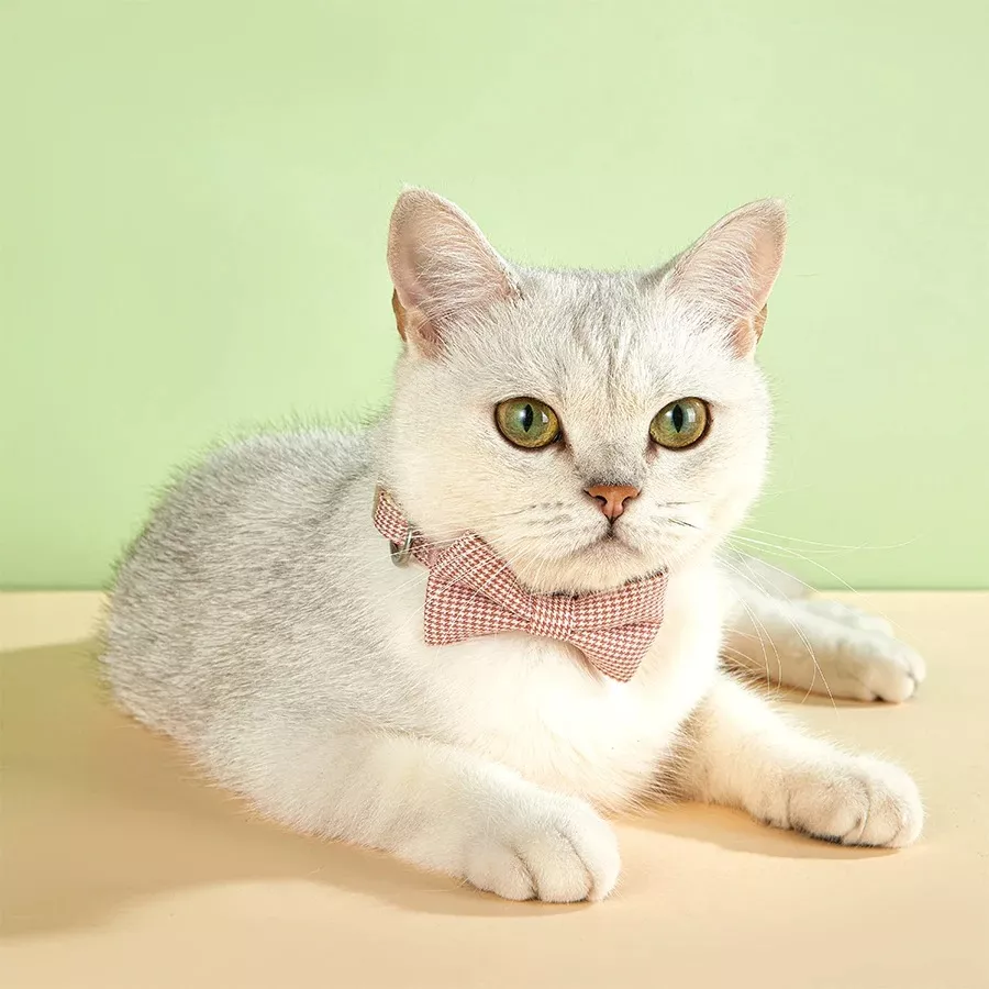 Plaid Bow Tie Cat & Small Dog Collar with Bell