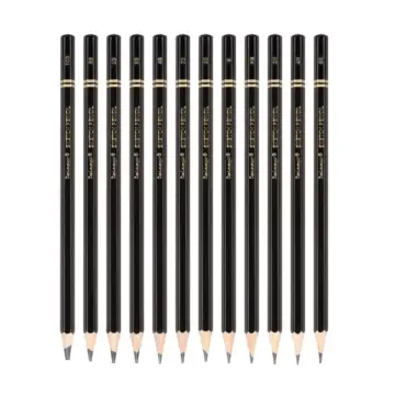 12-Piece Drawing and Sketching Pencil Set for Beginners and Professional Artists