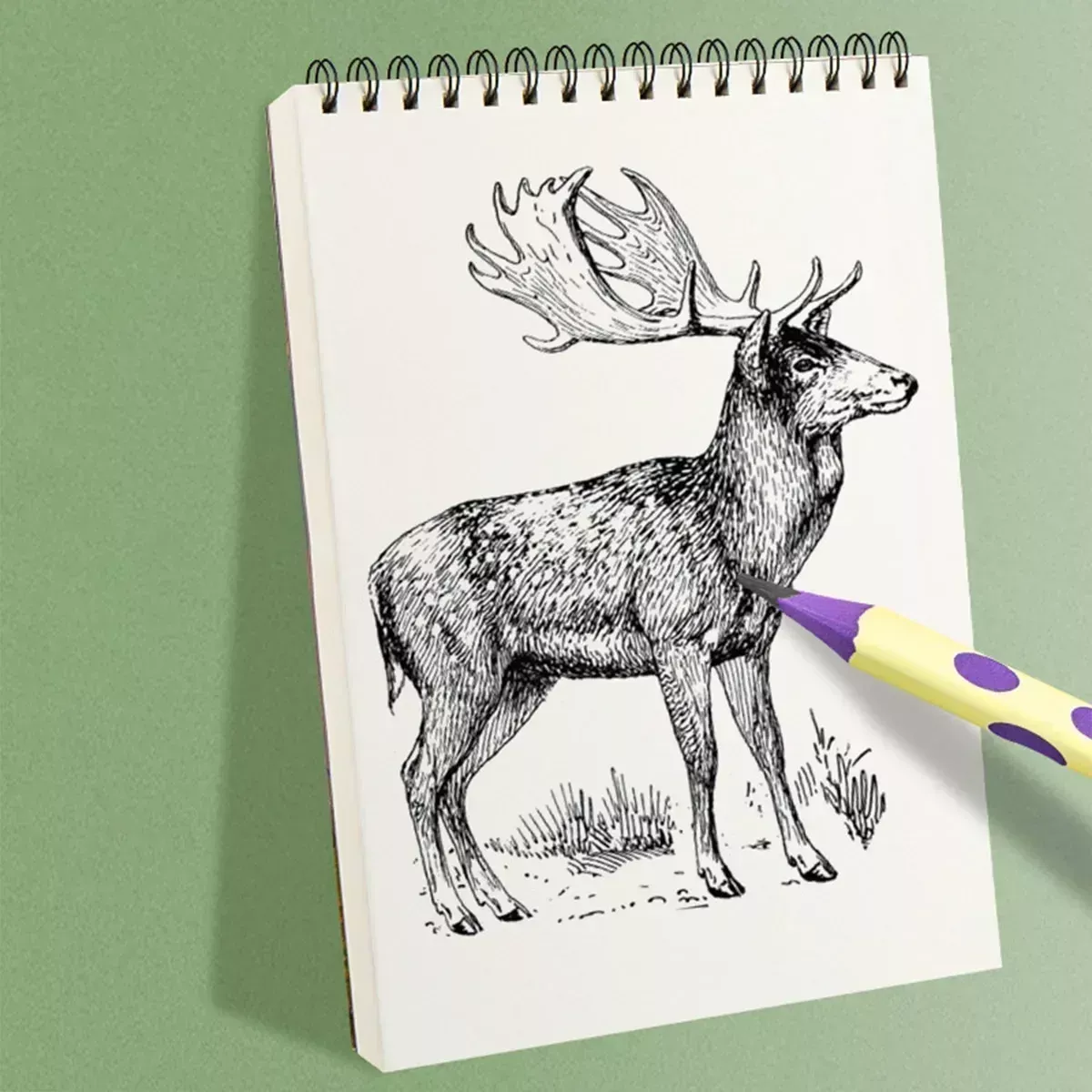 A4/8K Hard Shell Sketchbook - Image 4