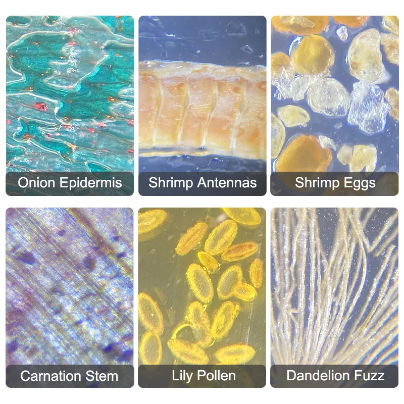 1200X Monocular Kids Microscope - Image 4