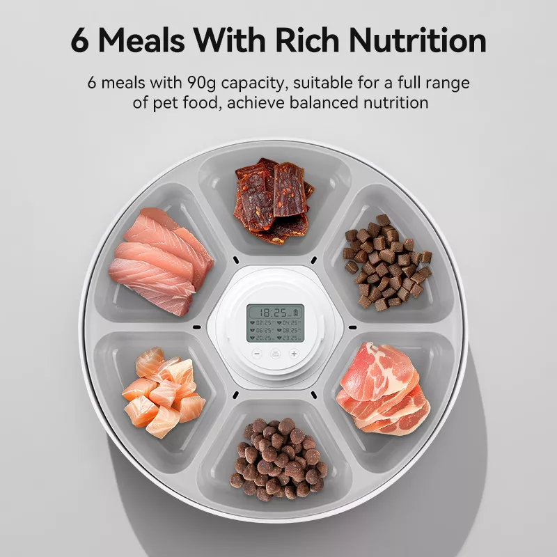 Automatic Pet Feeder for Cats - Image 4