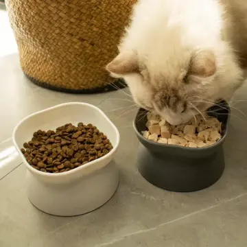 Stress-Free Tilted Cat Food Bowl