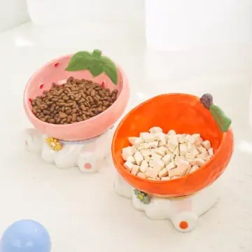 Elevated Ceramic Cat & Dog Food Bowl