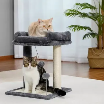 Small Cat Tree with Scratching Post