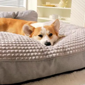 Warm and Cozy Dog Sofa Bed