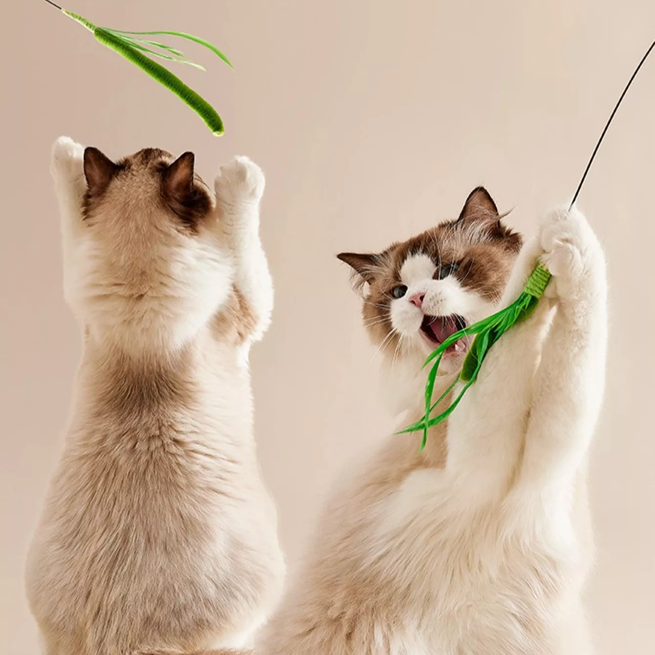 Feather Teasing Cat Stick Toy - Interactive Fun for Kittens and Cats