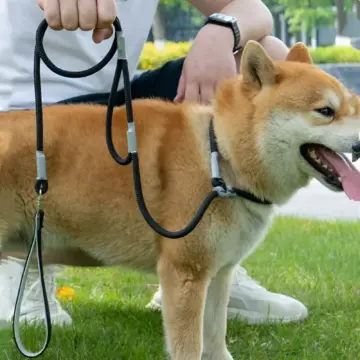 Adjustable Double Handle Dog Leash for Walking