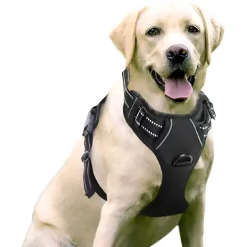 Adjustable No-Pull Reflective Dog Harness for Outdoor Adventures