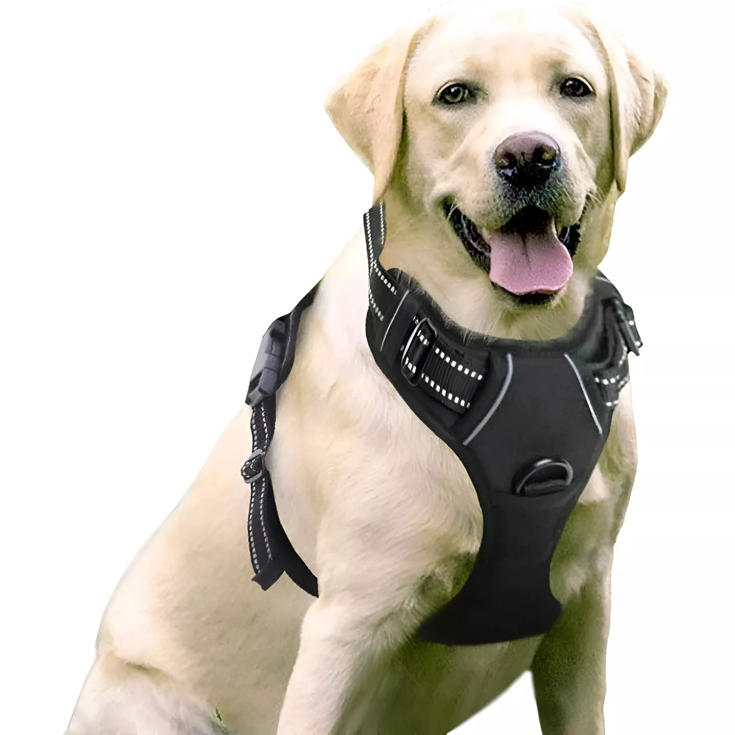 Adjustable No-Pull Reflective Dog Harness for Outdoor Adventures