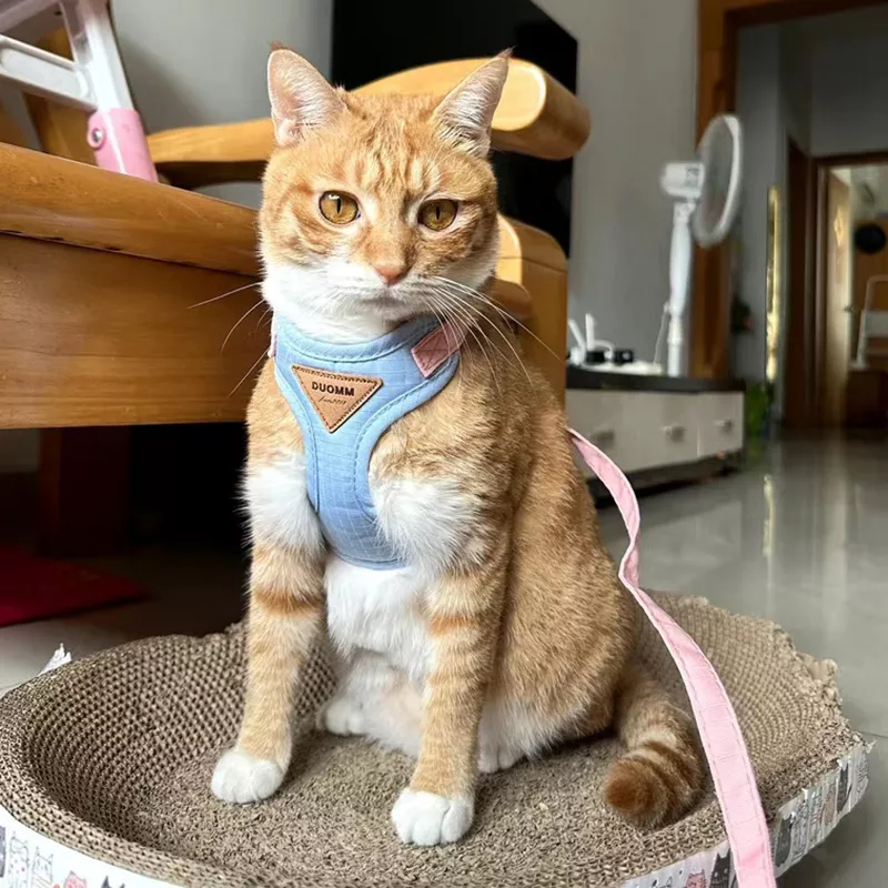 Cozy Soft Cat Harness and Leash for Walking - Image 3