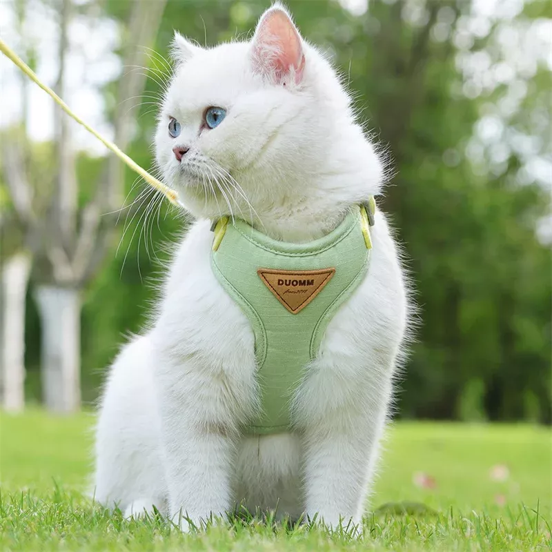 Cozy Soft Cat Harness and Leash for Walking - Image 7