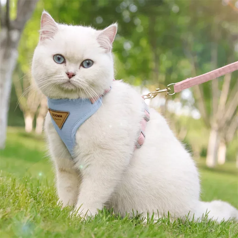 Cozy Soft Cat Harness and Leash for Walking - Image 4