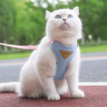 Cozy Soft Cat Harness and Leash for Walking