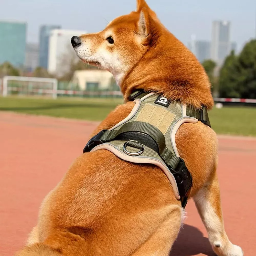 Adjustable Reflective Safety Dog Harness and Leash Set - Image 4