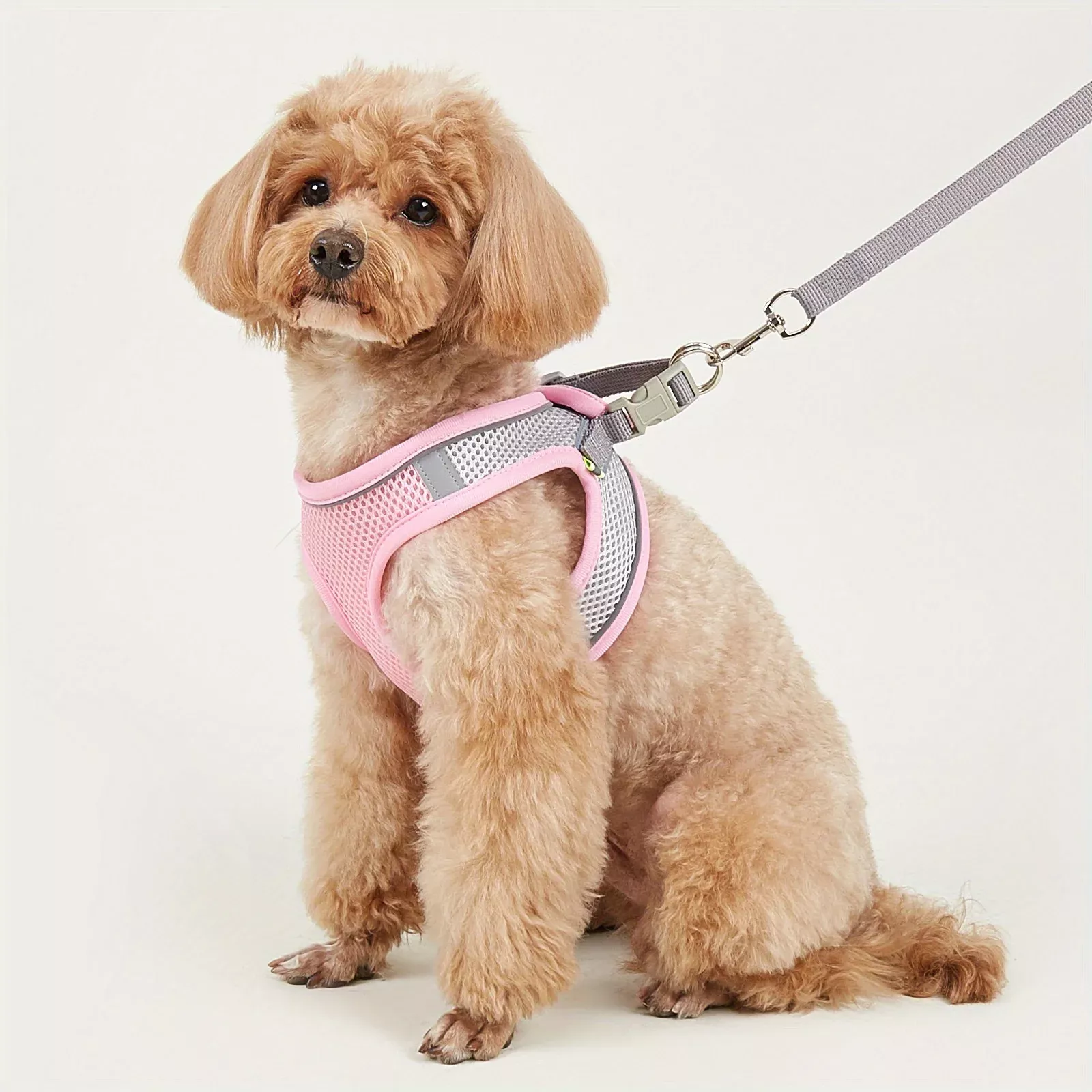 Reflective Soft Mesh Dog Harness for Small & Medium Breeds - Image 2