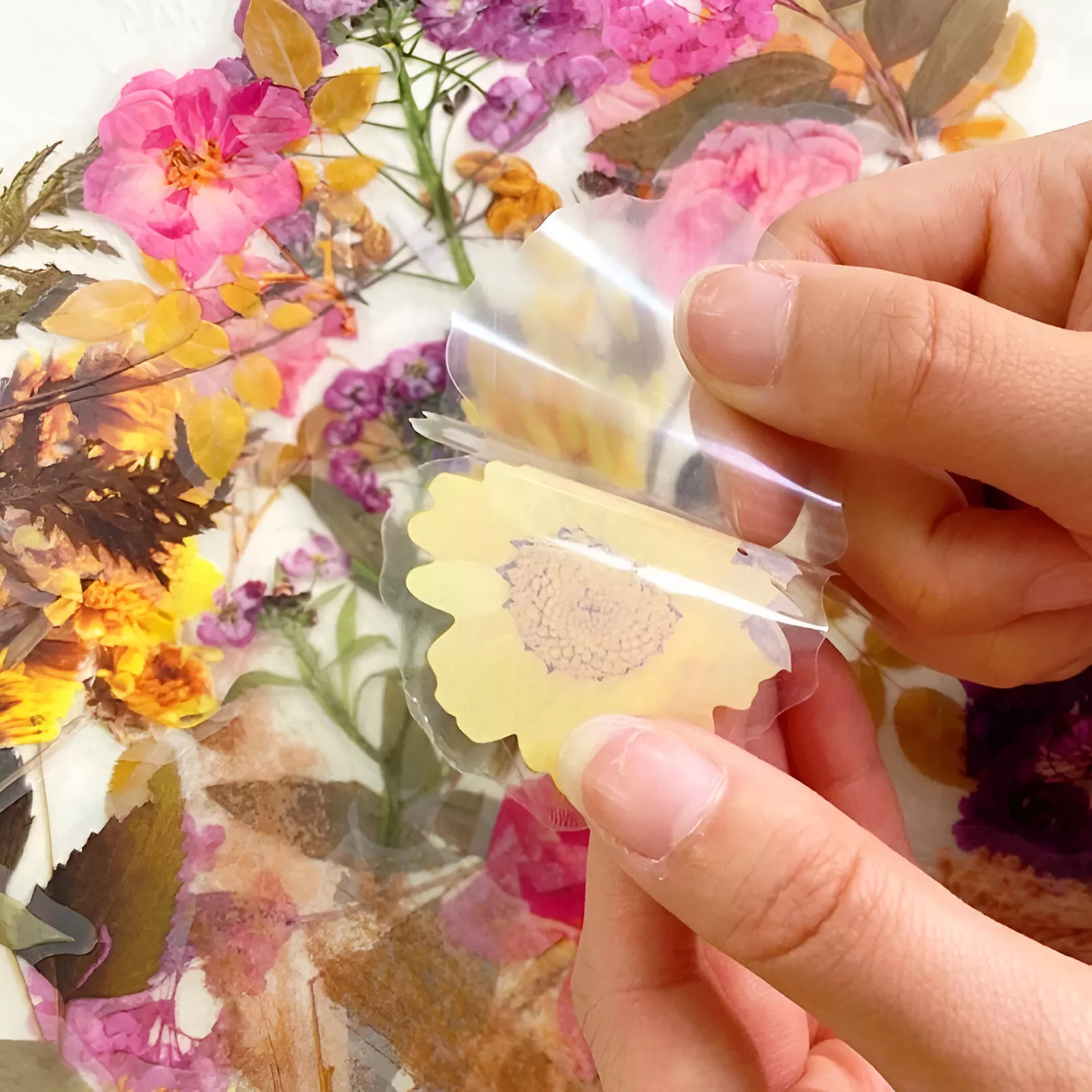 12pcs Aesthetic Flower Stickers for Scrapbooking, Journals & Crafting - Image 3